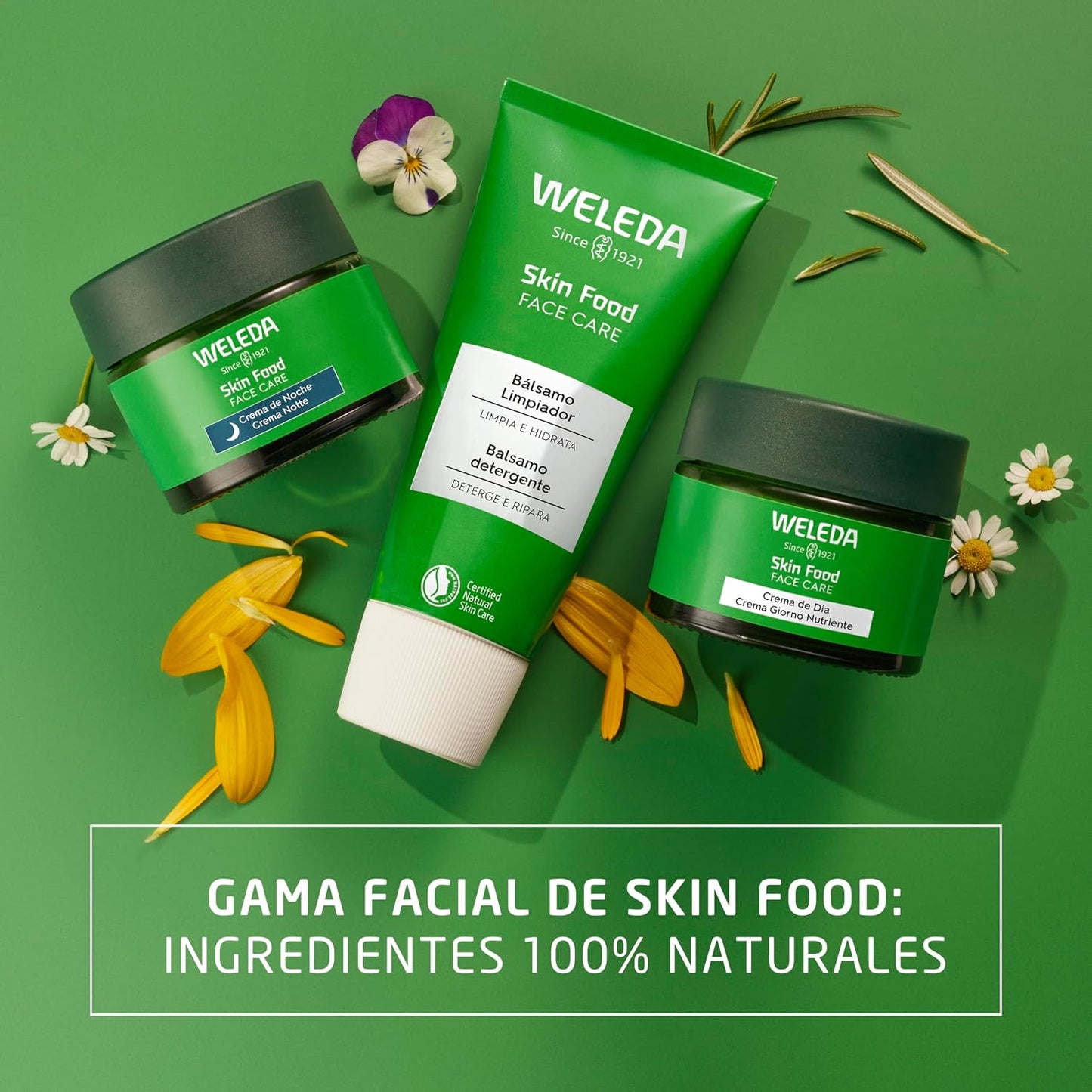 Weleda - Skin Food Crema Nutritiva De Día, Nutre, Hidrata Y Repara La Piel, Rápida Absorción, Con Extractos Botánicos De Pensamiento, Caléndula Y Manzanilla Orgánica, Apto Para Pieles Secas - 40 Ml