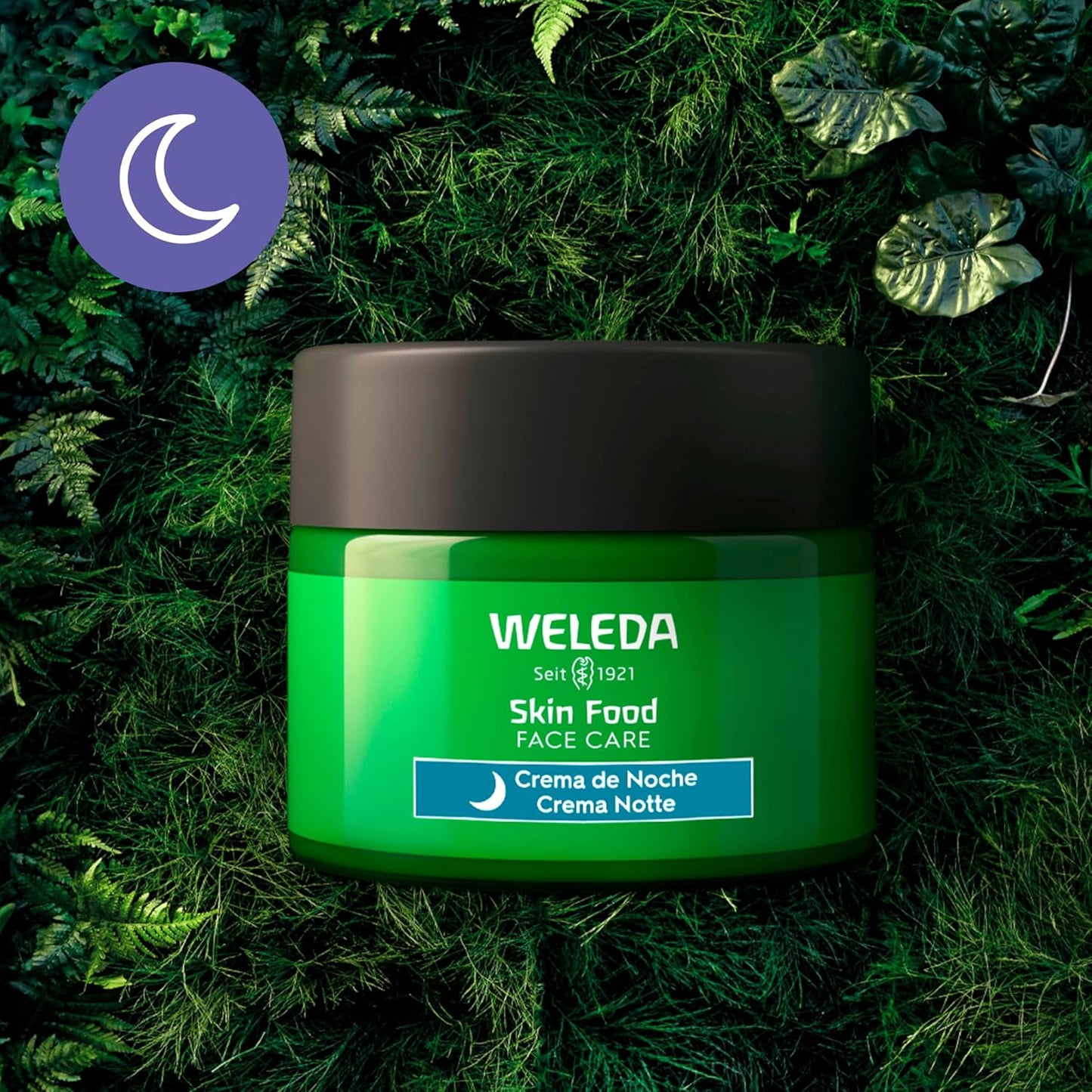 Weleda - Skin Food Crema Nutritiva De Noche, Nutre, Calma Y Regenera La Piel, Rápida Absorción, Con Extractos Botánicos De Pensamiento, Caléndula Y Manzanilla Orgánica, Apto Para Pieles Secas - 40 Ml