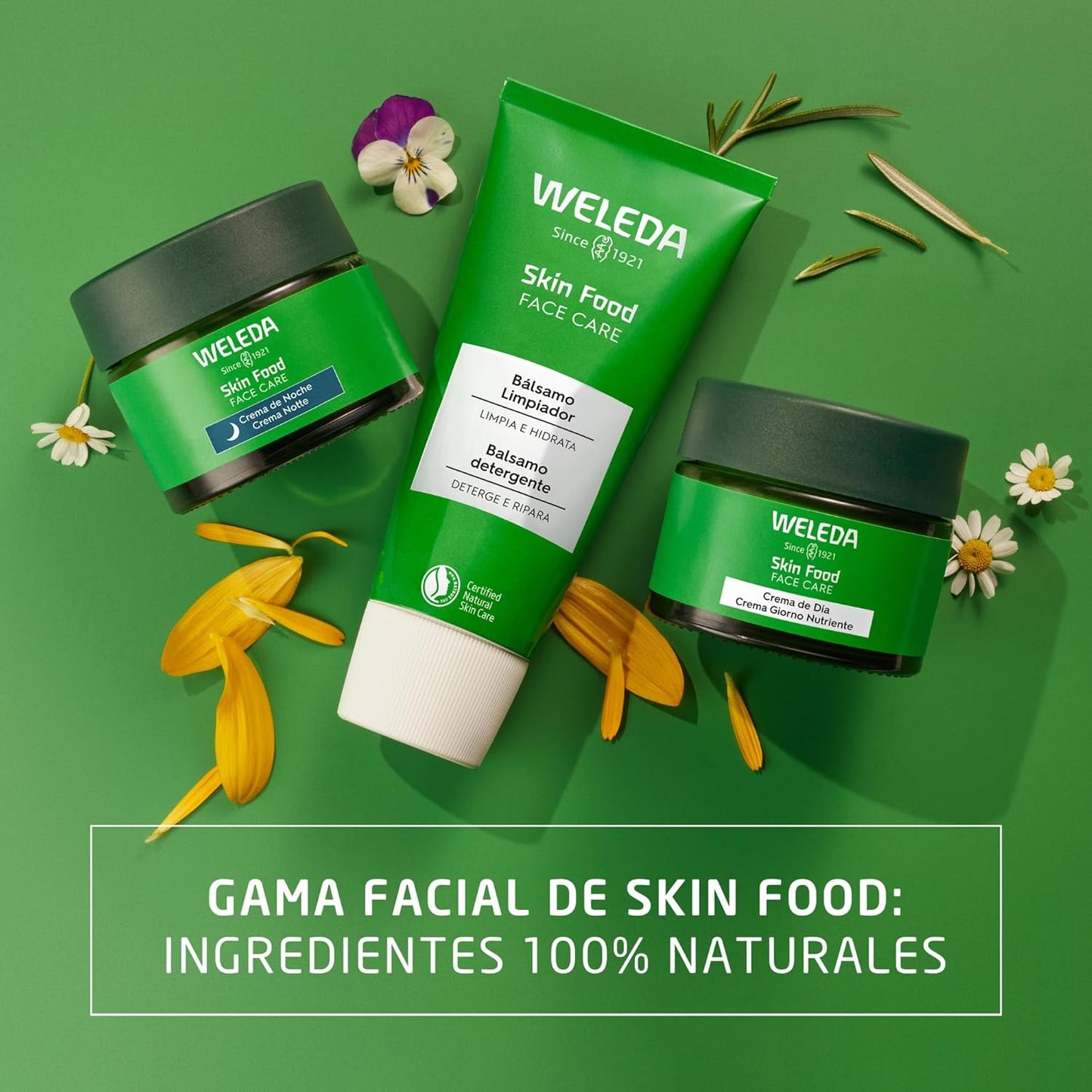 Weleda - Skin Food Crema Nutritiva De Noche, Nutre, Calma Y Regenera La Piel, Rápida Absorción, Con Extractos Botánicos De Pensamiento, Caléndula Y Manzanilla Orgánica, Apto Para Pieles Secas - 40 Ml
